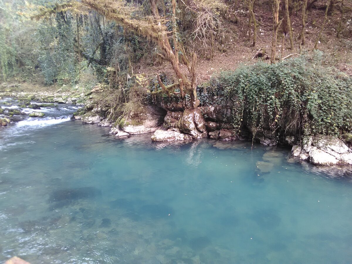 Форелевое хозяйство на черной речке в Абхазии
