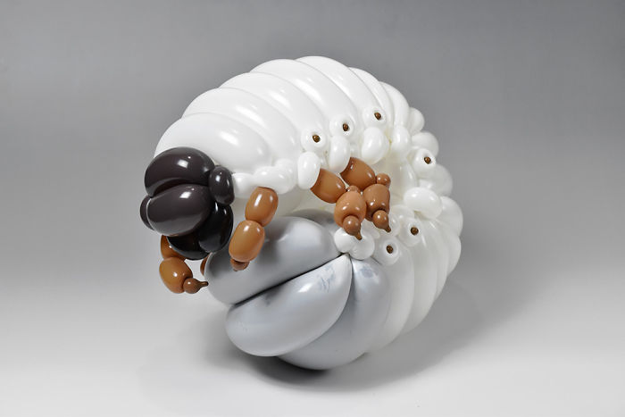 Beetle Larva