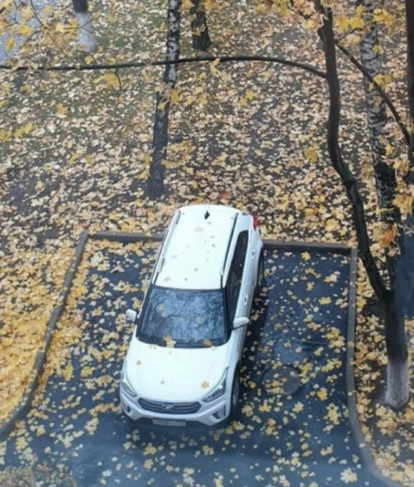 Человек придумал себе, что место - его личное и пытается учить других авто и мото,автоновости,парковка у дома,Россия