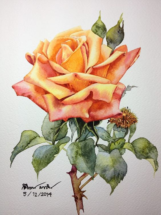 Rose painting: