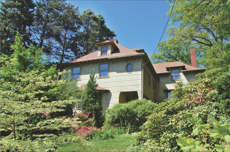 Долгий путь вместе. Питирим Сорокин и Елена Баратынская Долгий путь вместе. Питирим Сорокин и Елена Баратынская