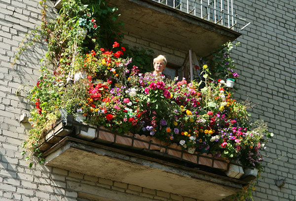 Много цветов на балконе
