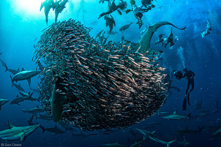 Лучшие фотографии Африки 2020 Африка,фотографии