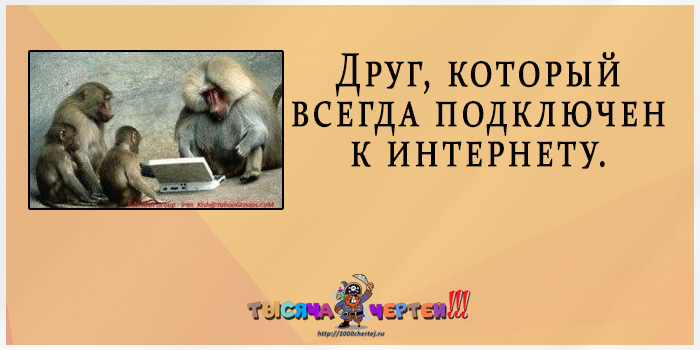 Прикольная классификация друзей по 20 типам. Демонстрируют животные Прикольная классификация друзей по 20 типам. Демонстрируют животные