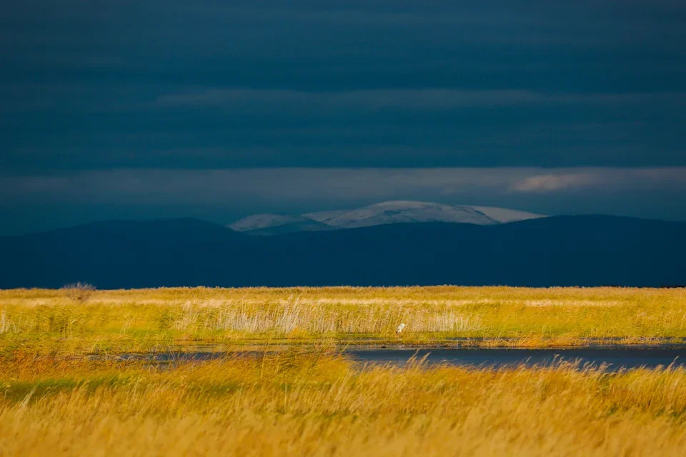 Кабанский заказник: маленький рай в дельте Селенги 