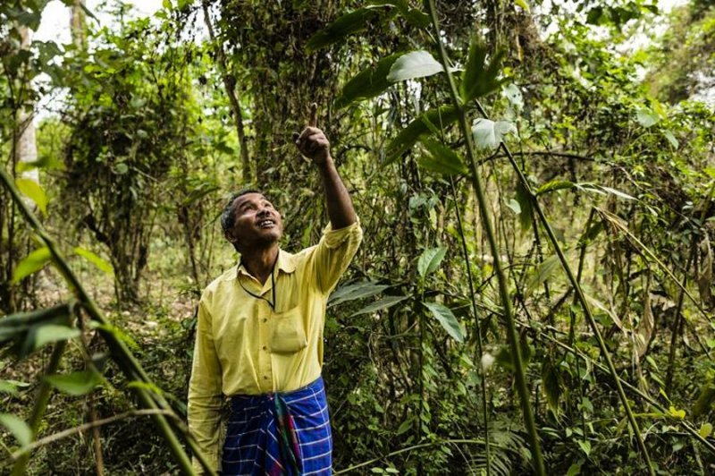 40 лет понадобилось индийцу, чтобы из пустыни сделать что-то совершенно невероятное 40 лет понадобилось индийцу, чтобы из пустыни сделать что-то совершенно невероятное герои,природа