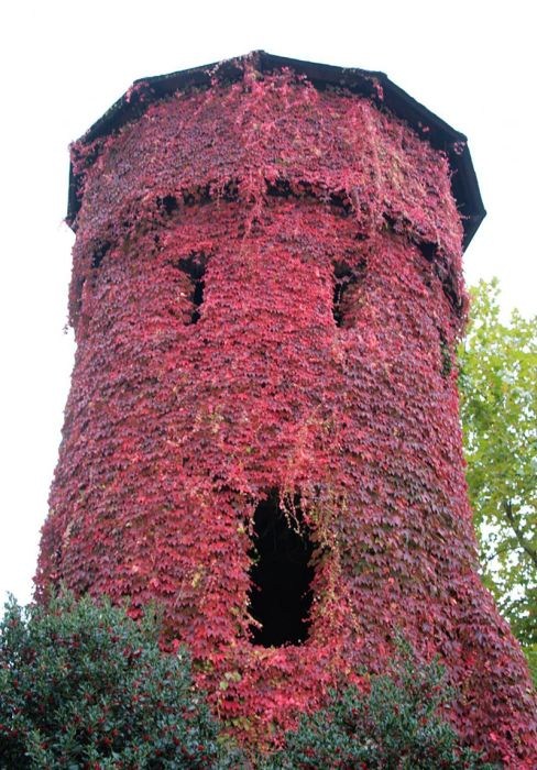 Прикольный позитив в фотографиях (110 фото)