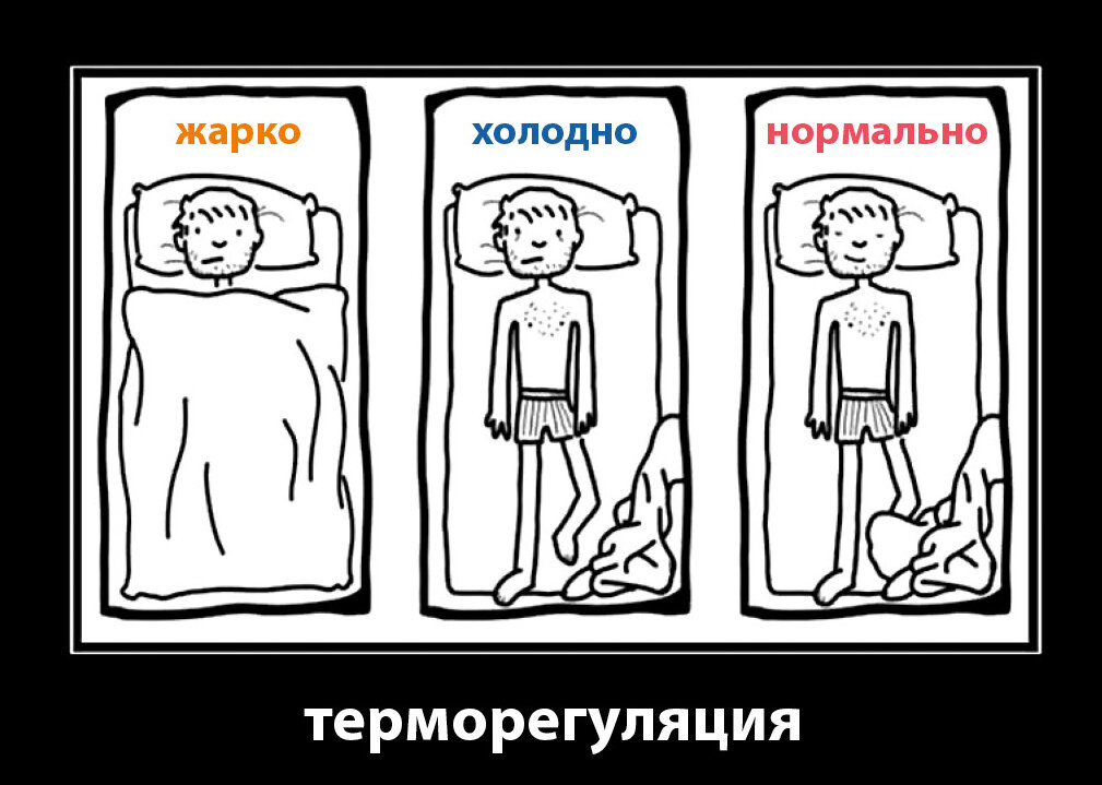 Что такое «холодно»? интересное,организм,тепло,холод