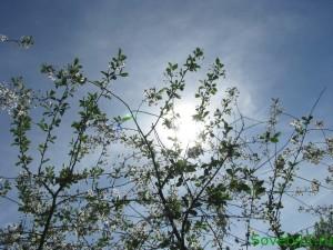 Осторожно, весеннее солнце