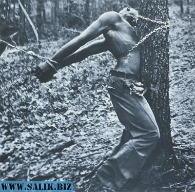 Линчевание в США Линчевание в США история