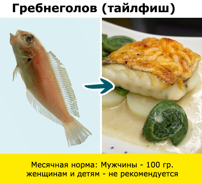 Рыба, сом, макрель, скумбрия, тунец, угорь, пангасиус, сибас, морской окунь, гемпилотоксин, масляная рыба, тайлфиш, гребнеголов, рыбалка, ртуть, нитрофуразон, Вьетнам, Меконг, 