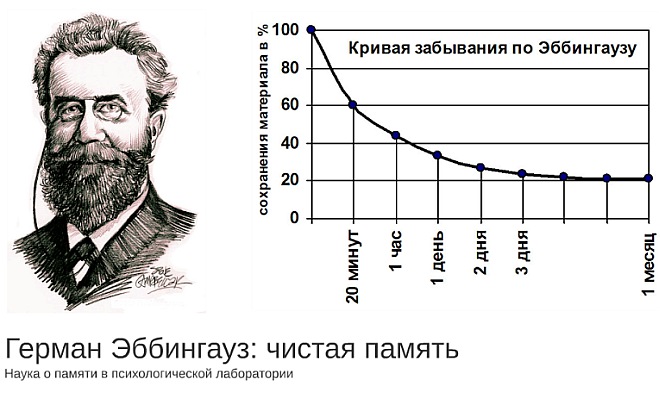 Секреты памяти, как легко и быстро запоминать слова