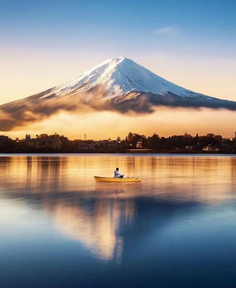 Забавные картинки для хорошего настроения Забавные картинки для хорошего настроения животные,жизнь,звери,земля,котики,коты,курьезы,мир,питомцы,планета,приколы,природа,смешное,собаки,факты,фауна,флора,щенки,юмор