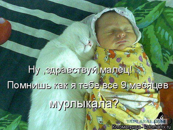 Котоматрица: Помнишь как я тебе все 9 месяцев Ну ,здравствуй,малец! мурлыкала?