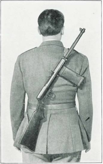Лёгкий карабин S&W 1940: хотели как лучше оружие