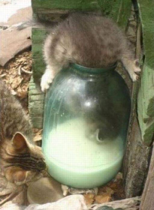 Давайте улыбаться вместе! :) №270114