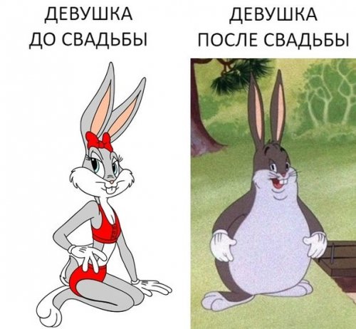 Прикольные фотомемы для всех Прикольные фотомемы для всех