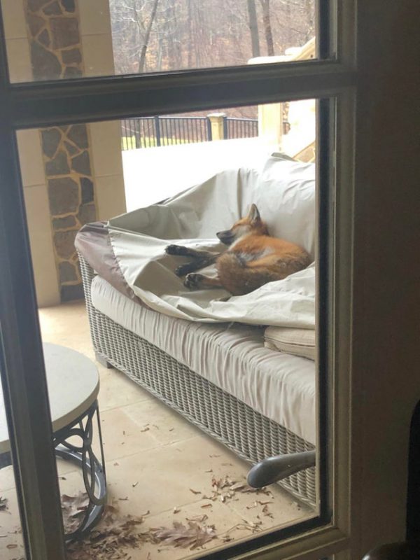 Мимишные фото от которых на душе станет теплее