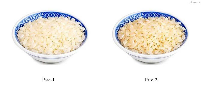 Икра слов Икра слов