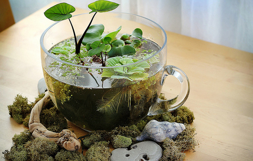 38 Потрясающих цветочных горшков и ваз