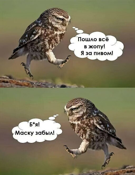 Алкопост
