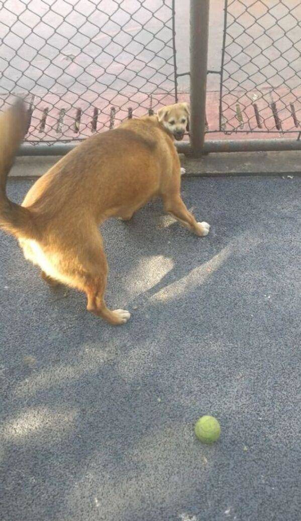 Подборка прикольных картинок Подборка прикольных картинок приколы,смешные картинки,юмор