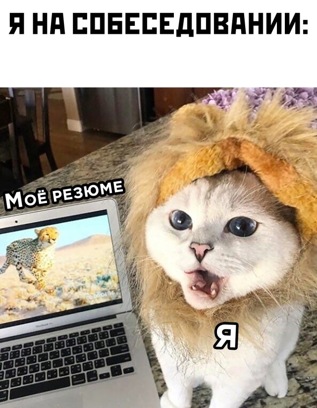 Подборка прикольных картинок Подборка прикольных картинок приколы,смешные картинки,юмор