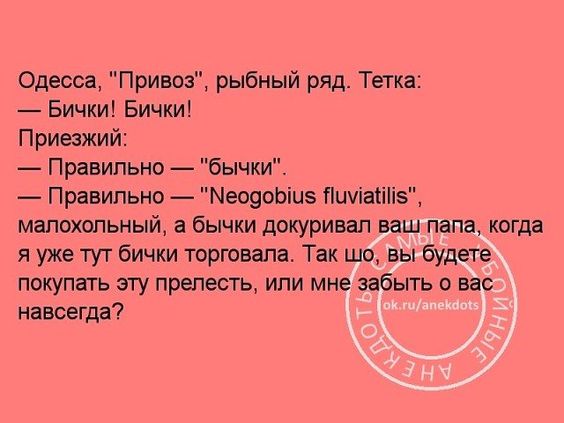 Познакомился с девушкой в интернете. Завели разговор о путешествиях... весёлые