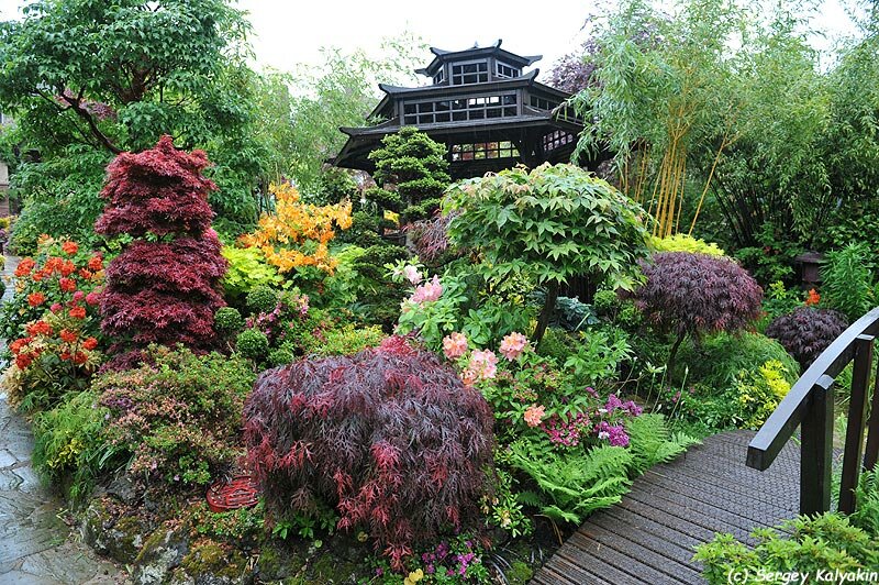 Самый яркий сад Англии