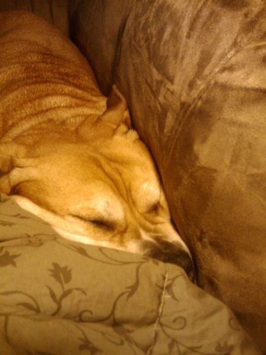 Прикольный позитив в фотографиях (110 фото)