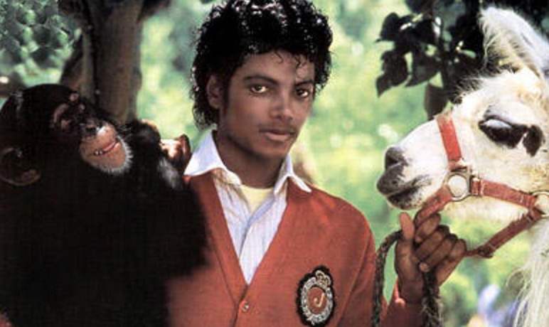 Как выглядел бы Майкл Джексон без пластических операций