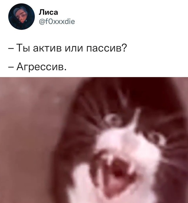 Подборка прикольных картинок  приколы,смешные картинки,юмор