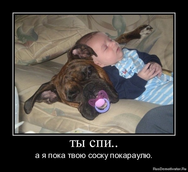 Смешные демотиваторы для хорошего настроения (11 фото)