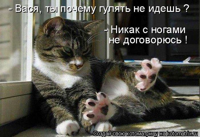Мысли вслух :)