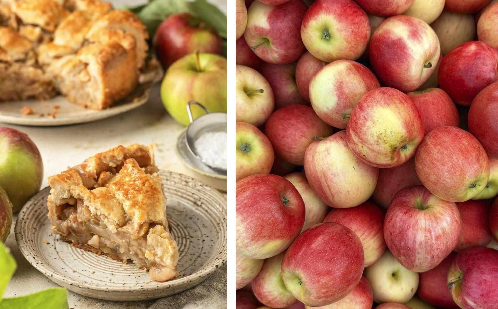 Дефицит клетчатки за три дня может нарушить работу памяти клетчатки, сколько, мозга, память, очень, чтобы, нужно, требуется, быстро, нехватка, больше, отвечает, фрукты, дефицит, независимо, мозге, рационе, овощи, через, всего