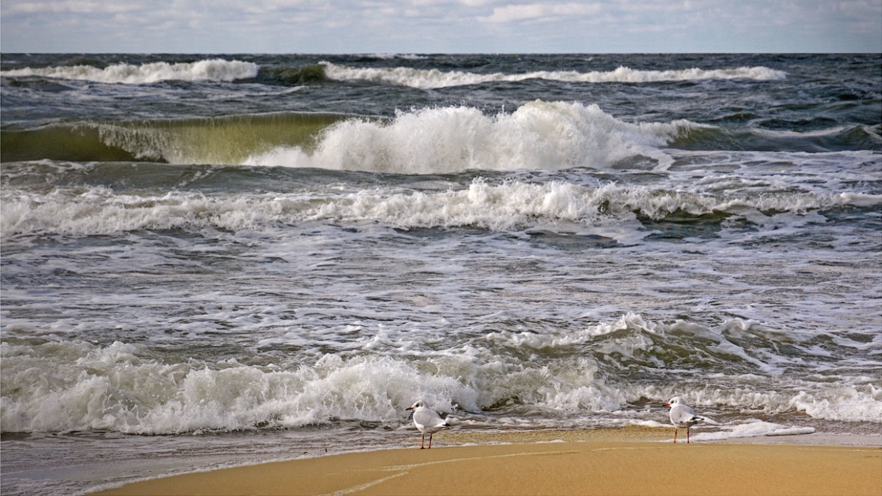Пожилая петербурженка утонула в Балтийском море в Зеленоградске Происшествия