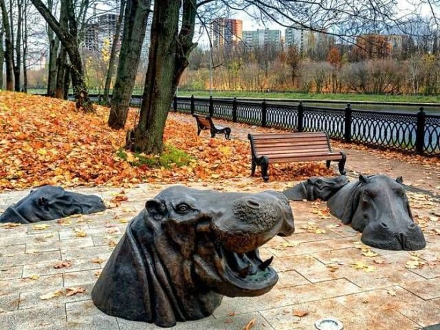 Подборка прикольных фоток!