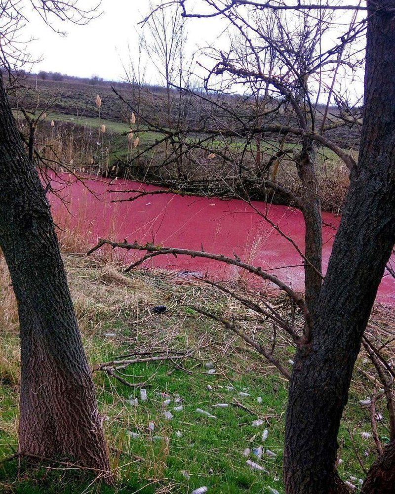 Бывает красная река. Водоем с красной водой. Красная река. Красная река в Кемерово. Красненькая речка.