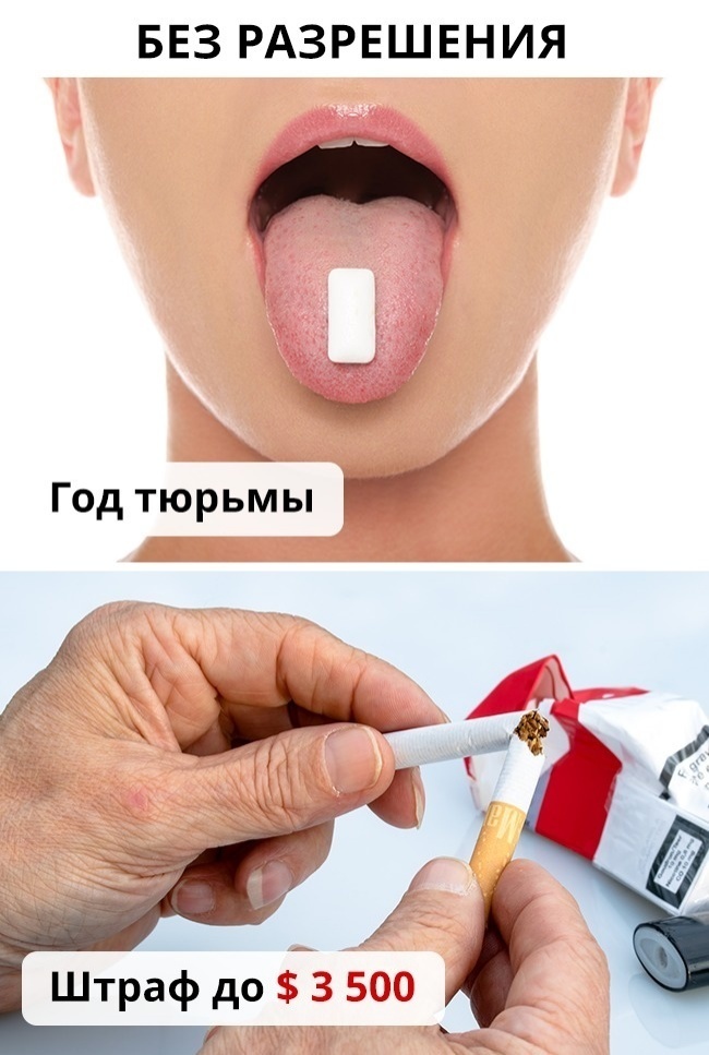 Блог - 10 странных вещей, которые поджидают туристов в Сингапуре 10 странных вещей, которые поджидают туристов в Сингапуре