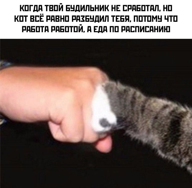 Подборка прикольных картинок 