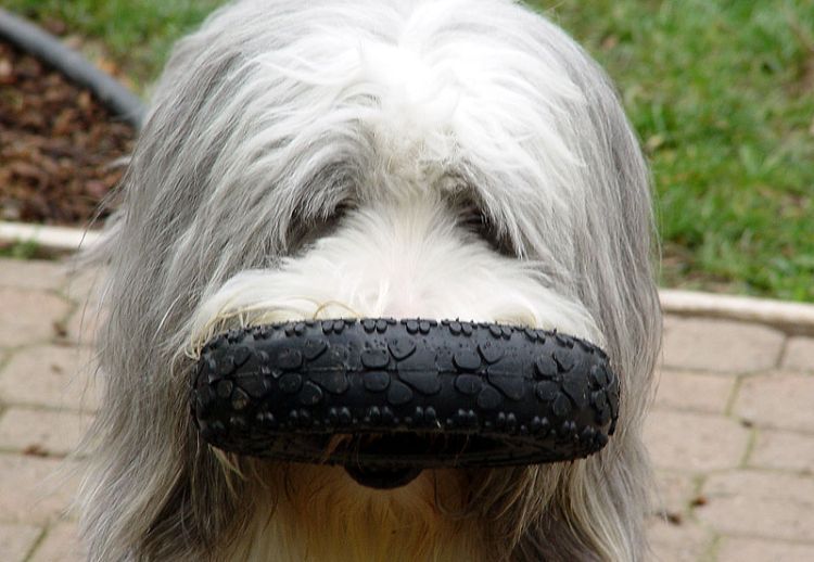 Давайте улыбаться вместе! :) (39улыбок)