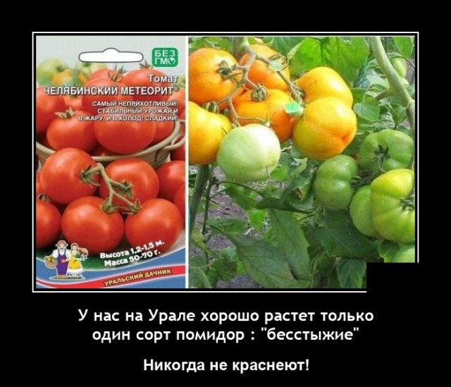 Новые демотиваторы Новые демотиваторы демотиваторы