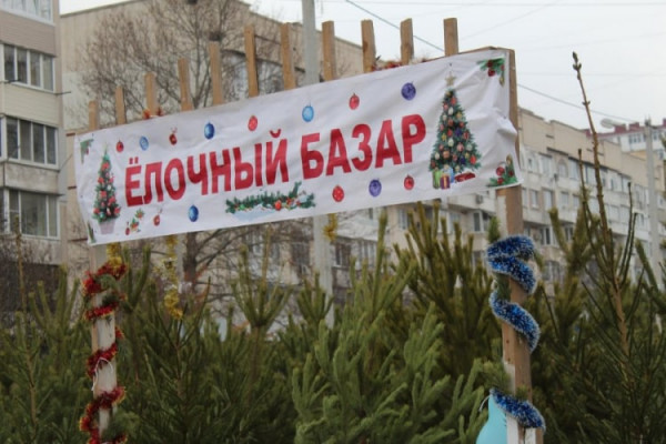 С 15 декабря в Севастополе будет работать новогодняя ярмарка