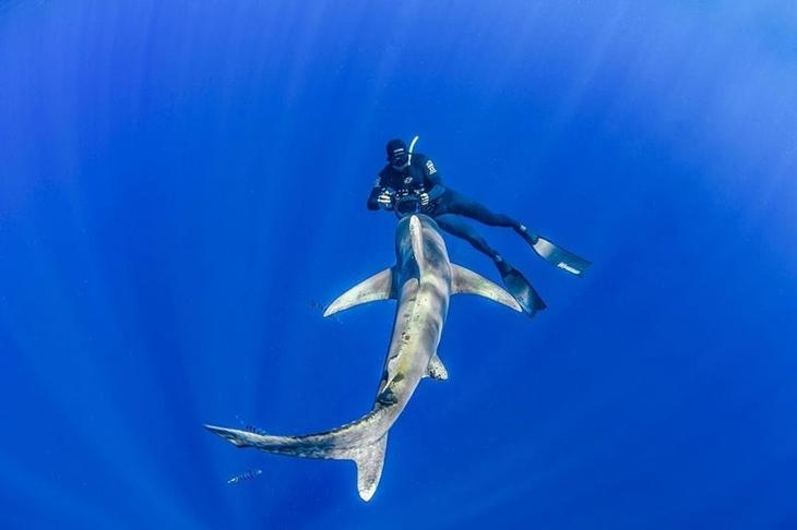 Захватывающие подводные фотографии Джейсона Вашингтона жизнь,прекрасное,удивительное