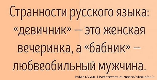 Особенности русского языка в весёлых картинках :-))) истории из жизни