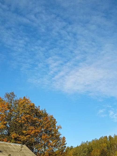 Изменчивый октябрь: один день ураганный ливень, другой день солнце и беззаботно - голубое небо с барашками, под которым пролетают стаи гусей. 02