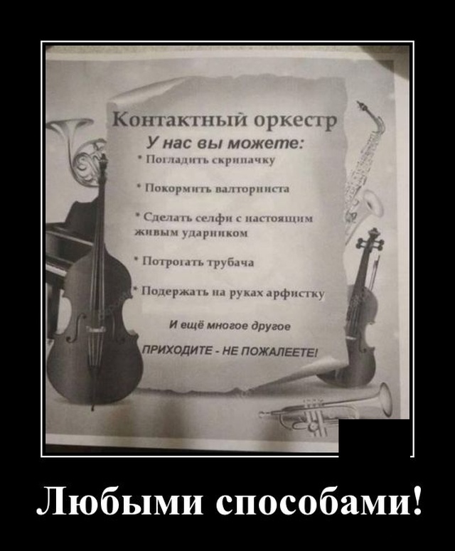 Видел у своего приятеля Сереги на холодильнике кучу магнитиков.. анекдоты,веселье,демотиваторы,приколы,смех,юмор