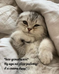 Новые прикольные картинки с надписями Новые прикольные картинки с надписями