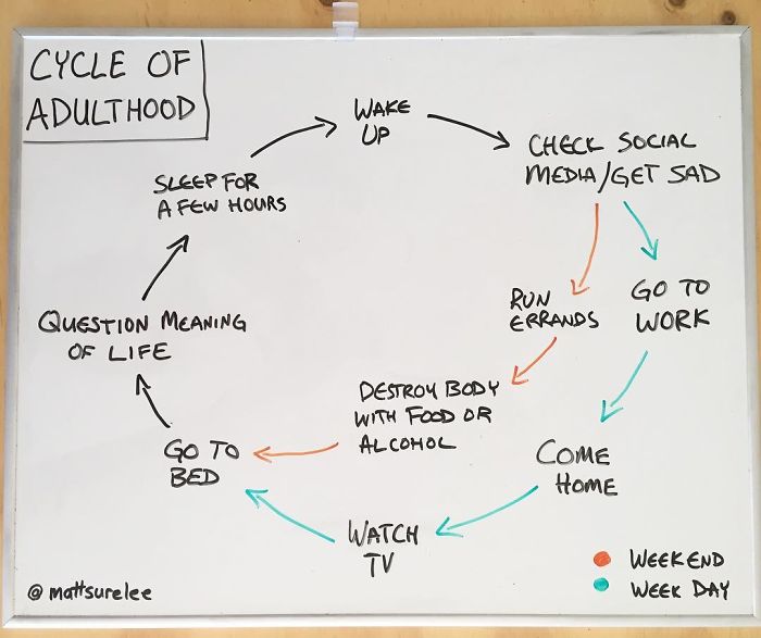 Funny Charts