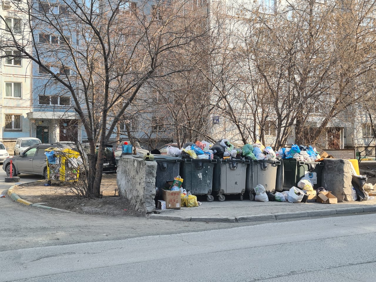 ребенка выкинули в мусорку. мусорный коллапс в новосибирске. мусор в россии. фото мусора. мусорка в россии.